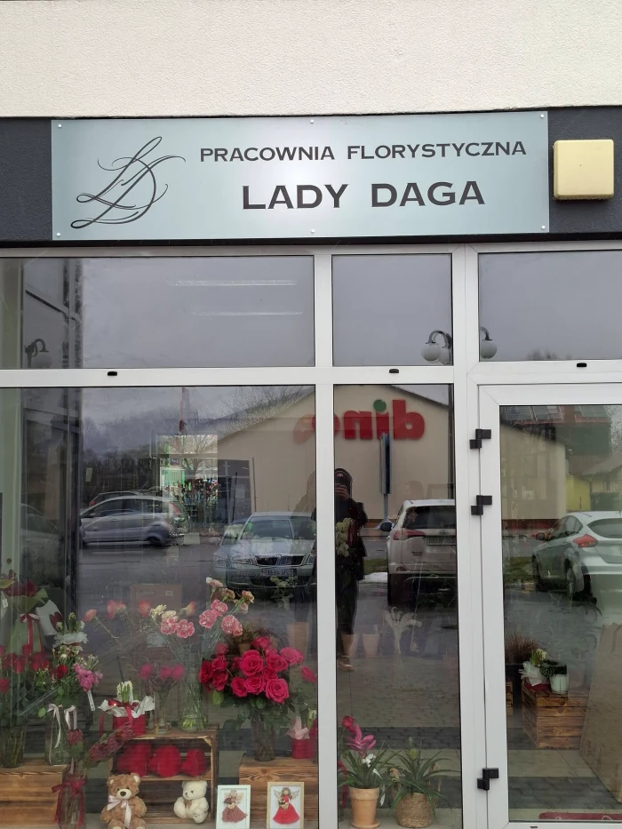 Szkoła Jazdy – witryny